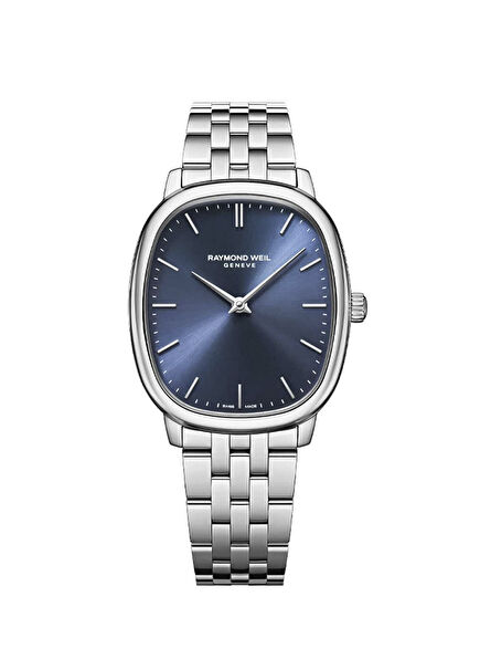 RW2280ST50001 Metallic Grey Steel Men's Watch