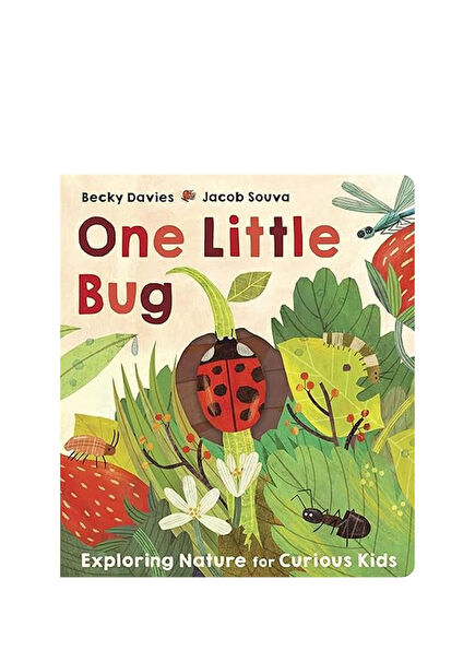 One Little: Bug Kid Foreign Language Book
