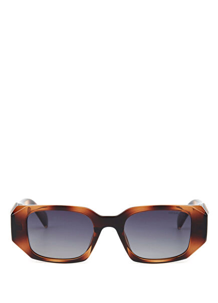DS 2295 C4 Havana Acetate Women's Sunglasses