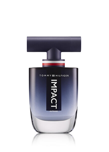 Impact Intense EDP 100 ml Men's Perfume