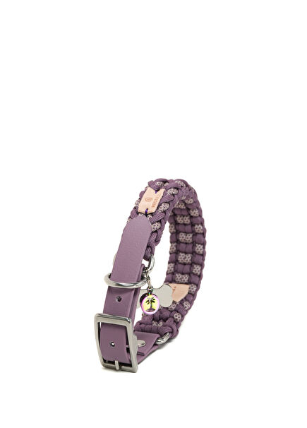 Aurora Paracord Leylak Latte Köpek Boyun Tasması