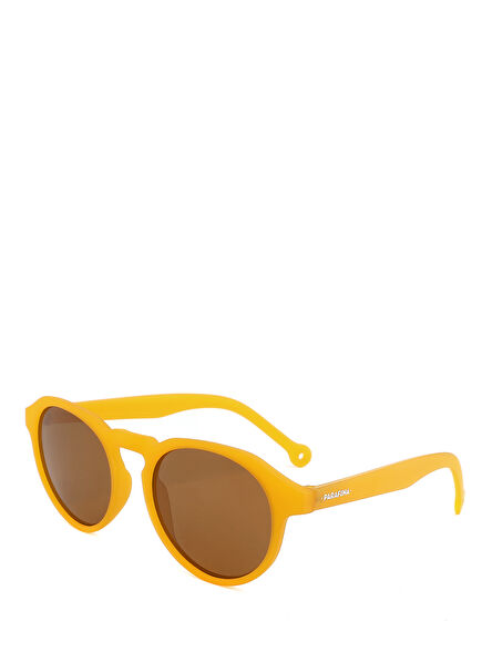 Pazo Unisex Sunglasses