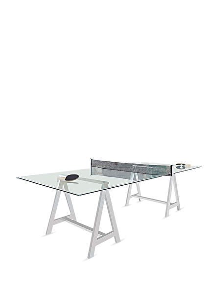 Crystal Design Ping Pong Table