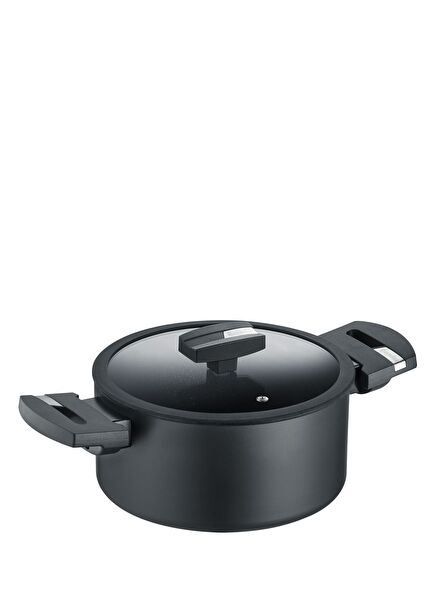 B.Green Induction Siyah Cam Kapaklı Tencere 24 cm  