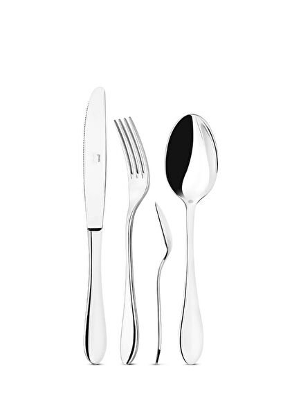 Silver Color Brushed 24 Piece Cutlery Set