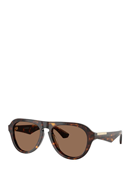 Brown Mens Sunglasses