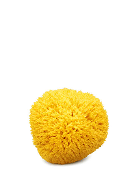 Yellow No:10 Small Baby Natural Bath Sponge