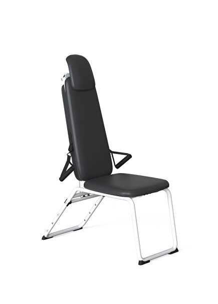 Gym Standard Black Leather Gym Chair