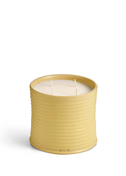 Honeysuckle Large 2120 gr Mum