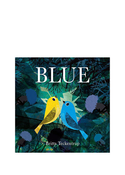 Blue Çocuk Yabancı Dil Kitabı