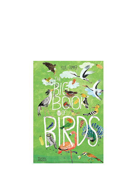 The Big Book Of Birds