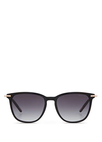 CR 80044 C2 Oval Siyah Altın Rengi Asetat Erkek Güneş Gözlüğü