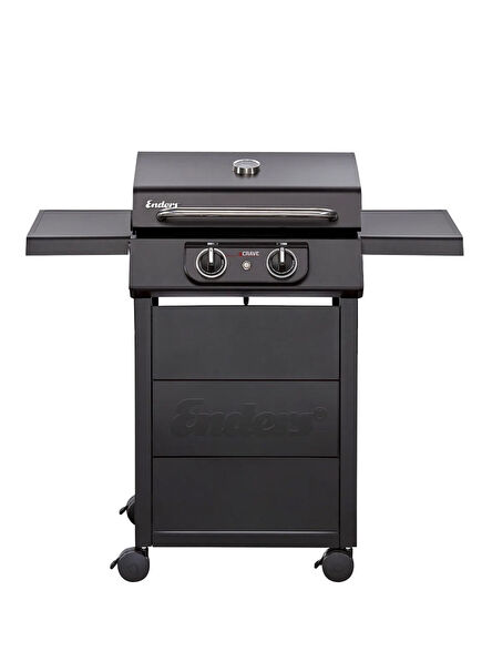 eCrave 2 Black Steel Electric Barbecue