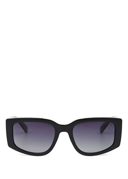 DS 2309 C4 Glossy Black Silver Acetate Women's Sunglasses