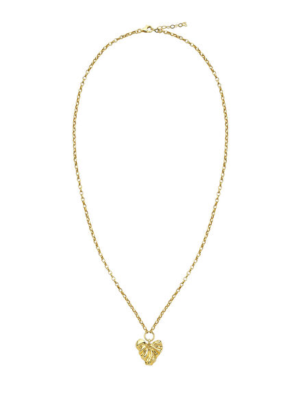 Tesa Heart-Shaped Women's Silver Necklace