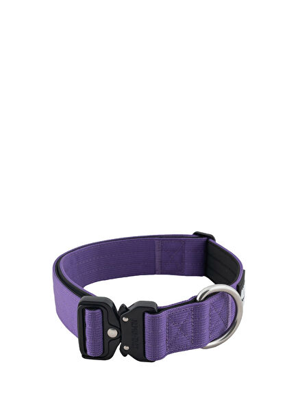 Alphagrip Lite Mor Köpek Boyun Tasması