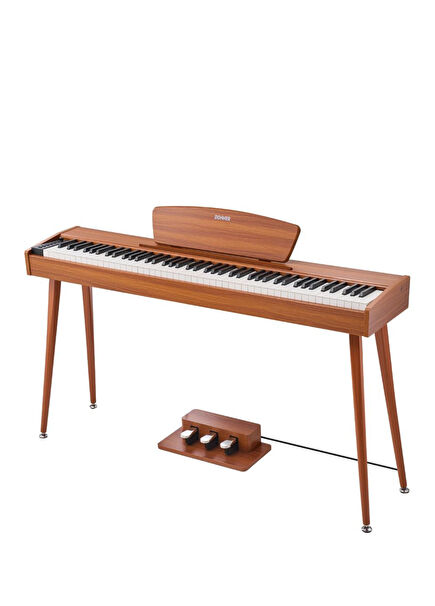 DHP-100 Pro Wood Digital Piano