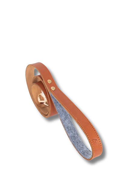 Bruno Köpek Gezdirme Kayışı