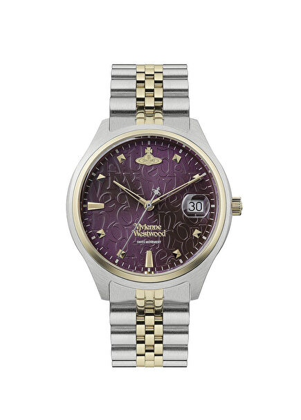 VV261BYSG Silver Steel Women's Watch