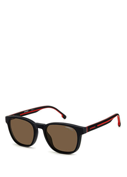 Ca8062/Cs BLXSP Acetate Coffee Women's Sunglasses