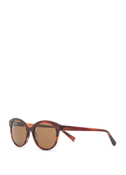 Corine HM 1763 C2 Brown Acetate Women's Sunglasses