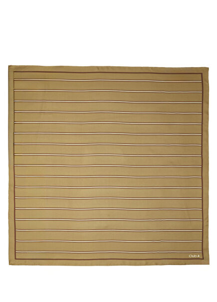 Khaki Pinstripe Silk Scarf