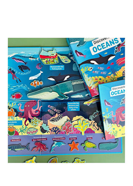 Discovering Oceans Magnetic Box Sets