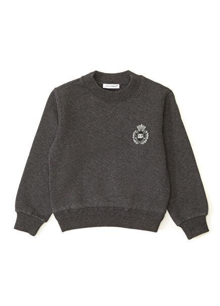 Gri Erkek Çocuk Sweatshirt