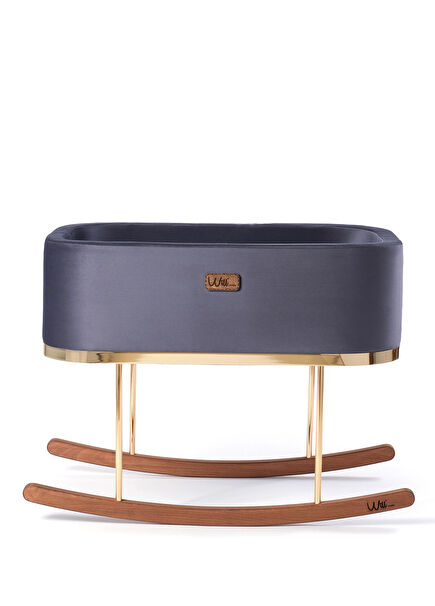 Beside Large Anthracite Gold Sallanır Anne Yanı 0-14 Ay 0-15 kg Beşik