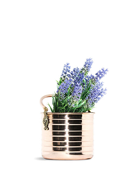 Coho Artisan Lion Head Glossy Copper Pot