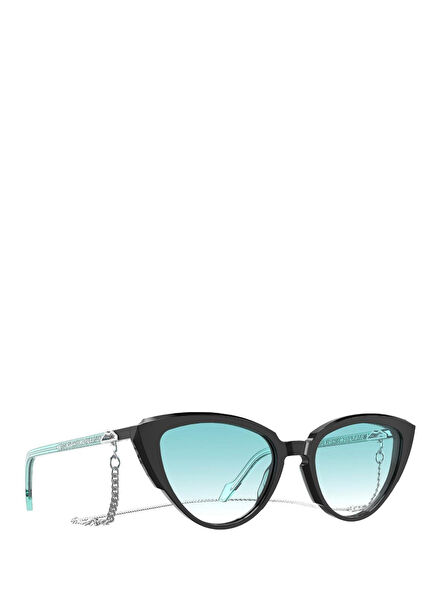 Naples Bay 04 Silver Black Acetate Women's Sunglasses