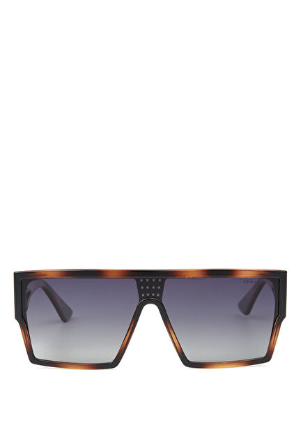 DS 2318 C3 Acetate Havana Men's Sunglasses
