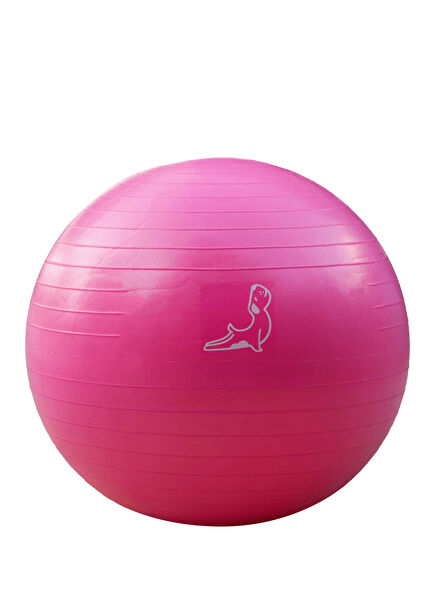 Pembe Egzersiz Topu 65 cm