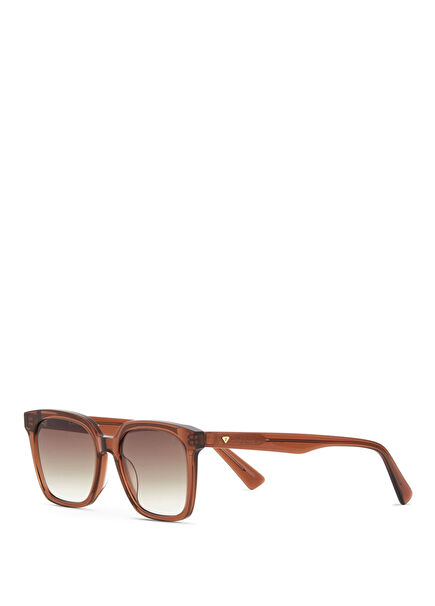 BC 1331 C2 Kahverengi Asetat Unisex Güneş Gözlüğü