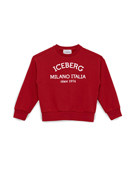 Red Printed Unisex Kids Sweatshirt