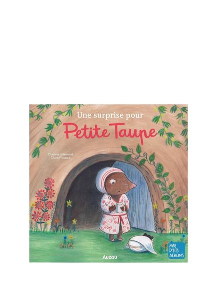 Une Surprise Pour Petite Taupe Children's Foreign Language Book