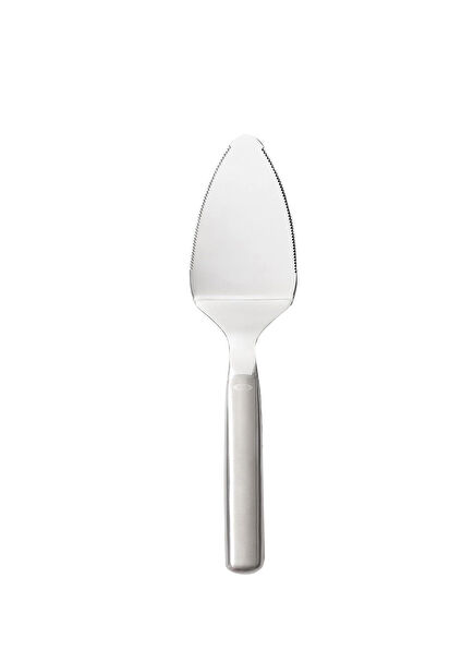 Steel Stainless Steel Cake Serving Spoon