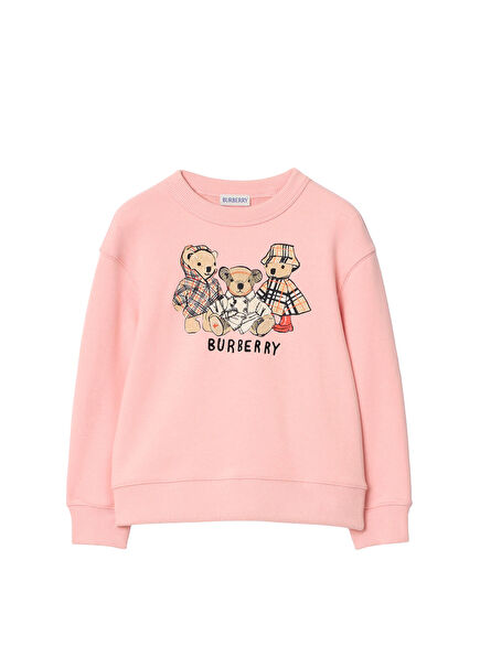 Mathew Teddy Pink Girl Sweatshirt