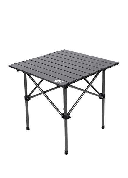 Folding Camping and Picnic Table with Carrying Bag