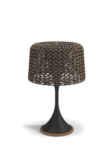 Ambient Mesh Meteor Carob Led Aydınlatma