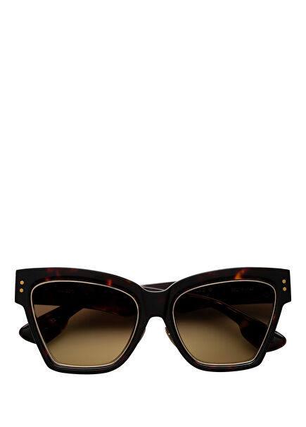 WN9DC Havana Kahverengi Asetat Kadın Güneş Gözlüğü