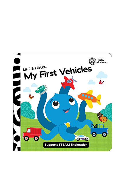 Baby Einstein İlk Araçlarımı Kaldır ve Öğren