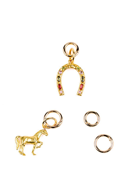 Lucky Charm Gold Color Women's Hair Ring