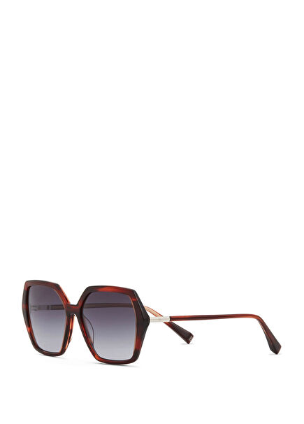 Corina HM 1762 C2 Havana Acetate Women's Sunglasses