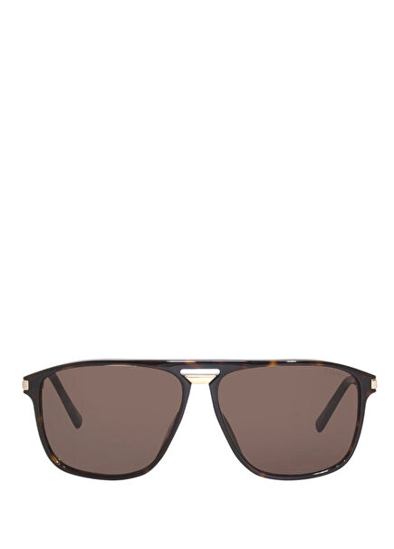 Sch293 Havana Acetate Men's Sunglasses