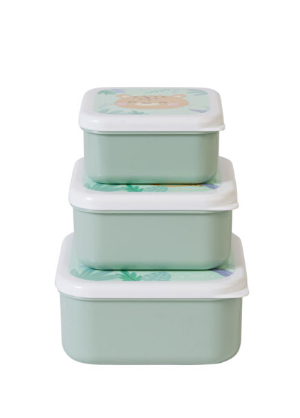 Cat 3-Piece Feeding Box