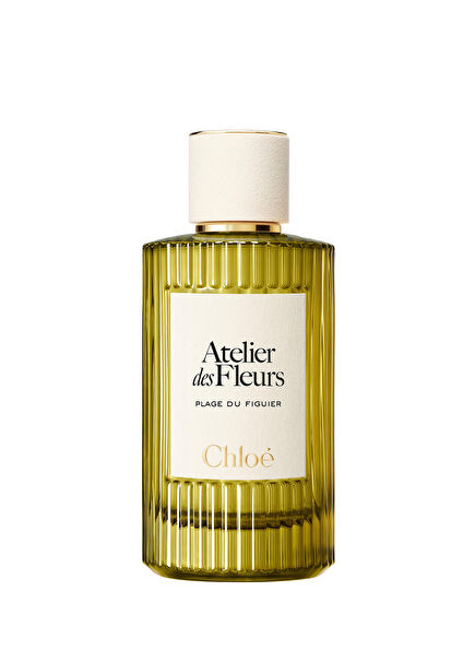 Méditerranéennes Plage du Figuier Edp 150 ML