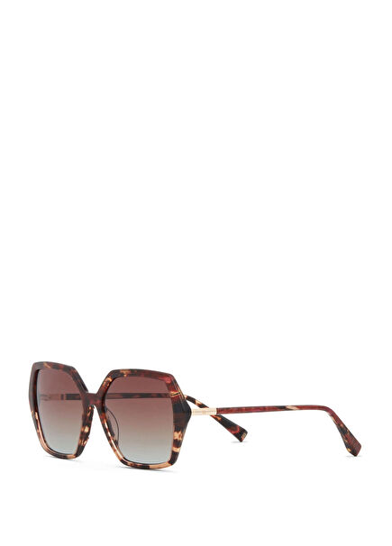 Corina HM 1762 C3 Brown Acetate Women's Sunglasses