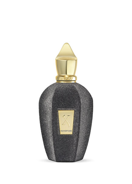 Xerjoff Ouverture EDP 100 ml Parfüm