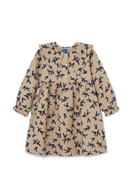 Harmony Multicolor Girls Dress